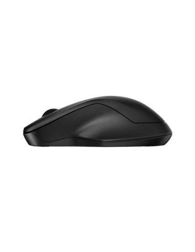 HP 255 Dual Wireless Mouse