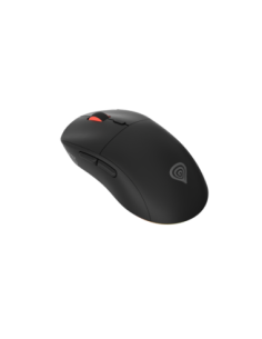 GENESIS Zircon XIII mouse