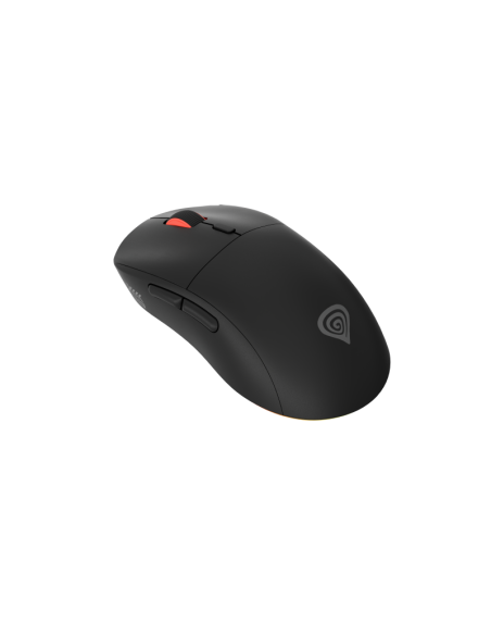 GENESIS Zircon XIII mouse
