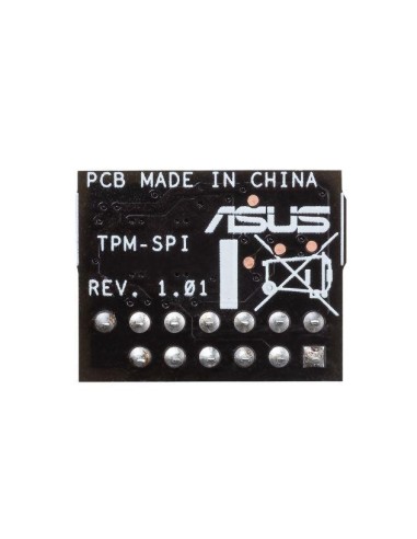 ASUS TPM-SPI Securely Sore Key W11