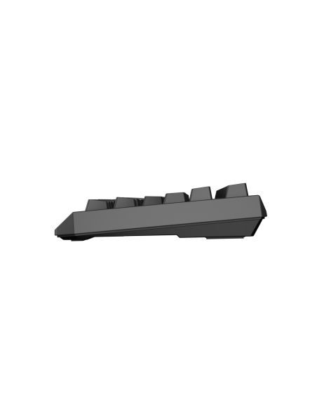 Tastatura WS Genesis Thor 230 TKL R ng