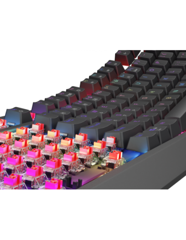 Tastatura WS Genesis Thor 230 TKL R ng