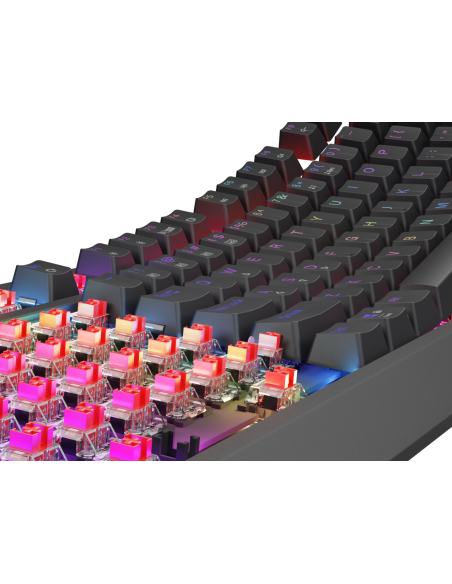 Tastatura WS Genesis Thor 230 TKL R ng
