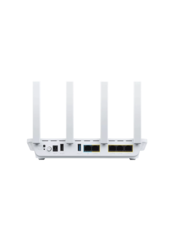 ASUS AP DUAL-B POLE/WALL MOUNT EAP610